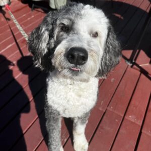 487939950_1437955330501503_4050487446733364554_n