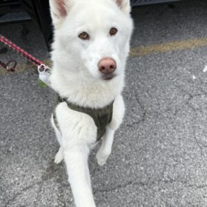 489083606_1442360893394280_6104341320104965527_n