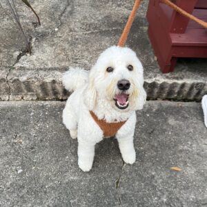 489956498_1446447142985655_7406228687621800243_n