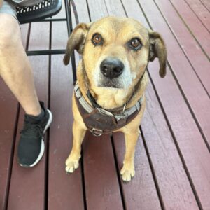 490413368_1446438406319862_1867344434145466049_n