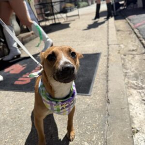 491767512_1448715789425457_3292962268660090744_n