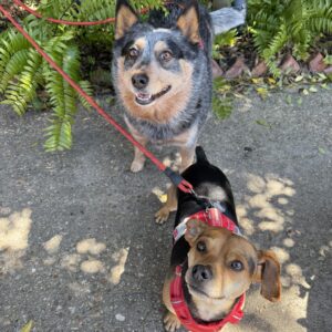 491848369_1448691076094595_316346322883297590_n