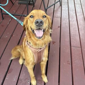 493225394_1458631291767240_5862138548290952593_n