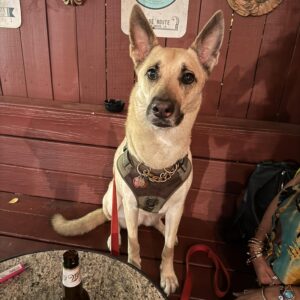 494218828_1458712951759074_734447682042530730_n