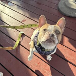 495554106_1467173830912986_3664701365797881004_n