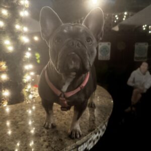 495567882_1467174350912934_4248564820647190258_n