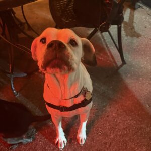 495570617_1467174647579571_741944554473807625_n