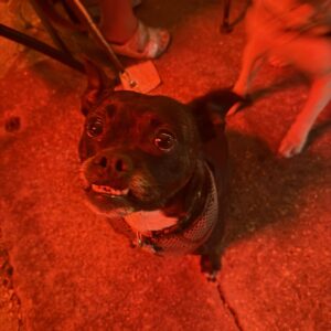 495571012_1467174834246219_8943431489221028544_n