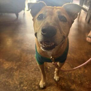 495575679_1469982373965465_116188157785000602_n