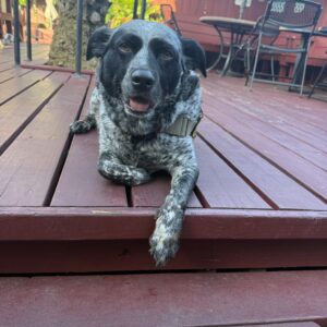 497631677_1470029210627448_7461313904862852142_n